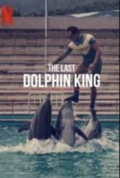 免费在线观看《海豚王之死》