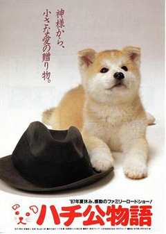免费在线观看《忠犬八公物语国语版》