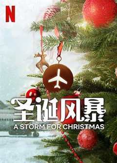 免费在线观看完整版欧美剧《圣诞风暴第一季》
