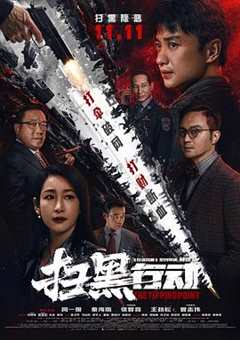 免费在线观看《扫黑行动 1080p》