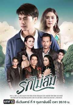 免费在线观看完整版泰国剧《真爱不忘 电视剧国语版》