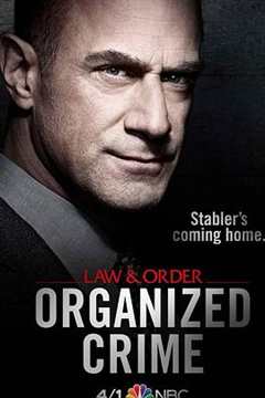 免费在线观看完整版欧美剧《法律与秩序:组织犯罪 第一季 电视剧》