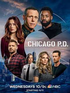 免费在线观看完整版欧美剧《芝加哥警署第八季百度百科》