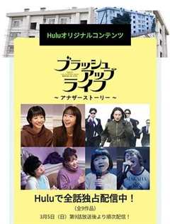 免费在线观看完整版日本剧《非故意伤人罪番外篇》