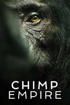 免费在线观看《黑猩猩帝国》