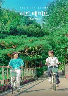 免费在线观看完整版韩国剧《爱情伴侣具备什么必须品质》
