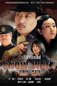 免费在线观看完整版国产剧《雪狼》