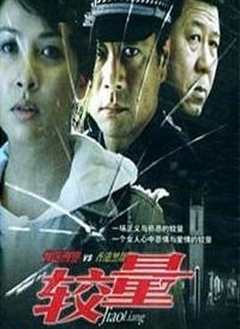 免费在线观看完整版国产剧《较量2004》