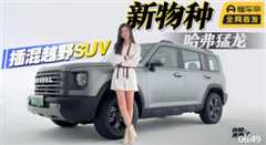 免费在线观看《哈弗插电混合suv》