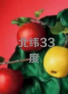 免费在线观看《北纬33度 电影》