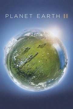 免费在线观看《地球脉动第二季》