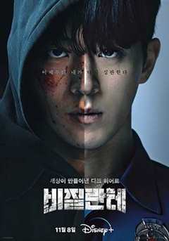 免费在线观看完整版韩国剧《非法正义》