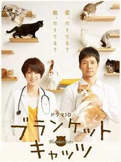 免费在线观看完整版日本剧《毛毯猫》