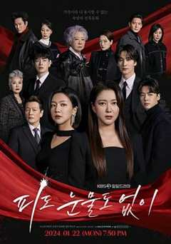 免费在线观看完整版韩国剧《无血无泪》