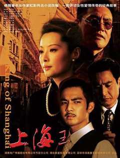 免费在线观看完整版国产剧《上海王2008》