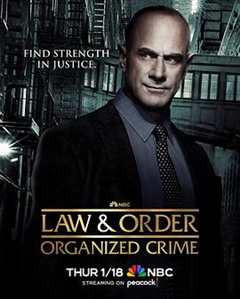 免费在线观看完整版欧美剧《法律与秩序：组织犯罪第四季》