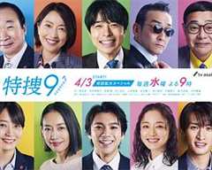 免费在线观看完整版日本剧《特搜9第七季》