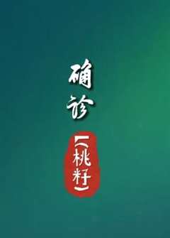 免费在线观看《L桃籽《确诊 》完整版MV》