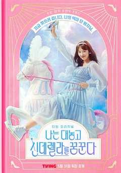 免费在线观看完整版韩国剧《我公然梦想成为灰姑娘》