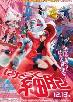 免费在线观看《工作细胞 真人版》