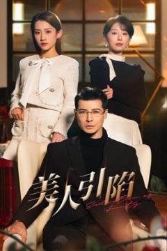 免费在线观看《美人引陷》