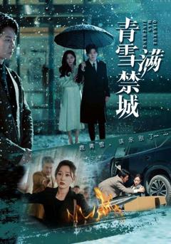 免费在线观看《青雪满禁城》