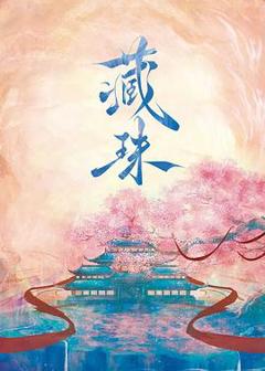 免费在线观看完整版国产剧《藏珠》