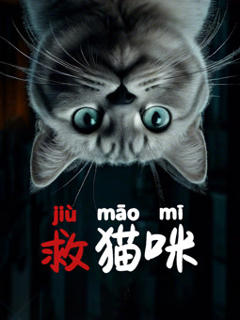免费在线观看《救猫咪》