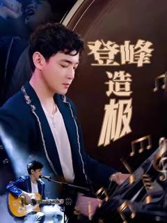 免费在线观看《登峰造极》