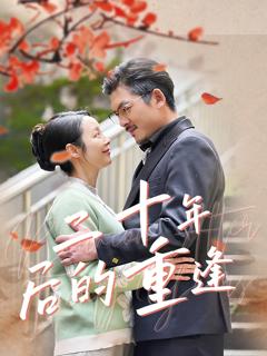 免费在线观看《二十年后的重逢》