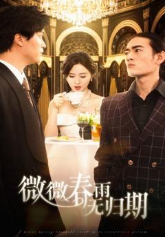 免费在线观看《微微春雨无归期》