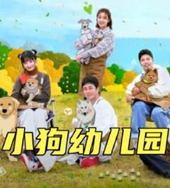 免费在线观看《小狗幼儿园》