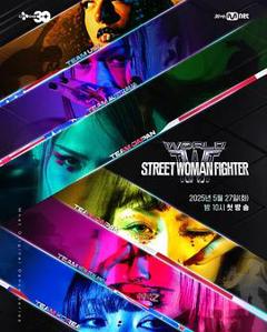 免费在线观看《世界街头女斗士3》