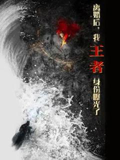 免费在线观看《离婚后，我王者身份曝光了》