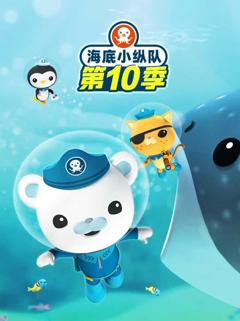 免费在线观看《海底小纵队第十季》