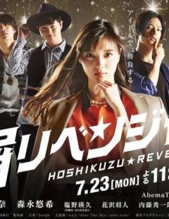 免费在线观看完整版日本剧《星屑复仇者》