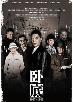 免费在线观看完整版国产剧《卧底2015》