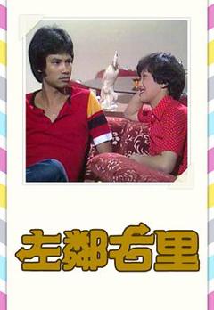 免费在线观看完整版香港剧《左邻右里粤语》