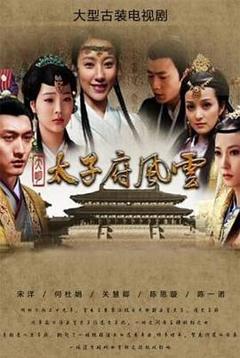 免费在线观看完整版国产剧《大明太子府风云》