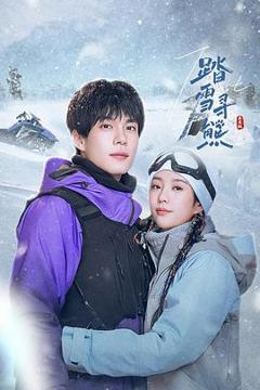 免费在线观看完整版国产剧《踏雪寻熊》