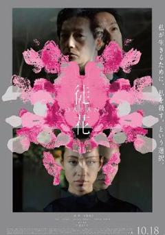 免费在线观看《谎花》