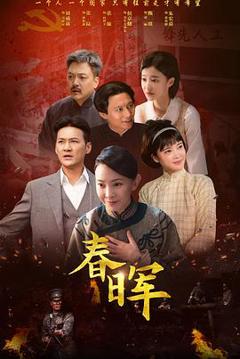 免费在线观看完整版国产剧《春晖》