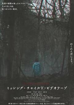 免费在线观看《失踪儿童录像带》
