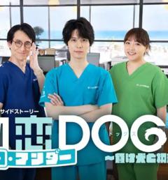 免费在线观看完整版日本剧《初恋UNDERDOGs～败犬与初恋～》