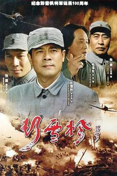 免费在线观看完整版国产剧《彭雪枫》