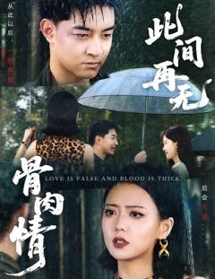 免费在线观看《此间再无骨肉情》