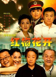 免费在线观看完整版国产剧《红梅花开2007》