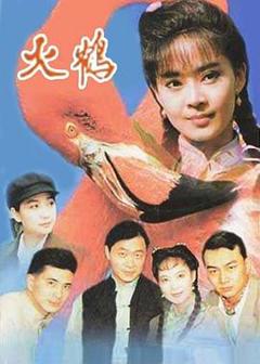 免费在线观看完整版台湾剧《火鹤》