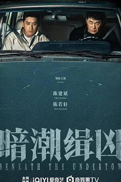免费在线观看完整版国产剧《暗潮缉凶》