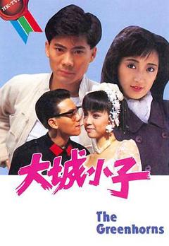 免费在线观看完整版香港剧《大城小子国语》